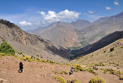 Trekkers in the Atlas moutains